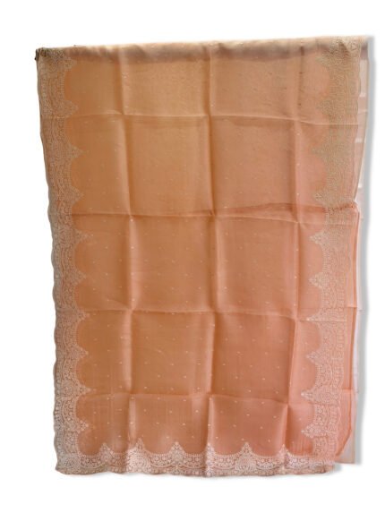 PURE ORGANZA LIGHT EMBROIDERED SAREE