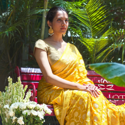 BANARASI KHADDI GEORGETTE